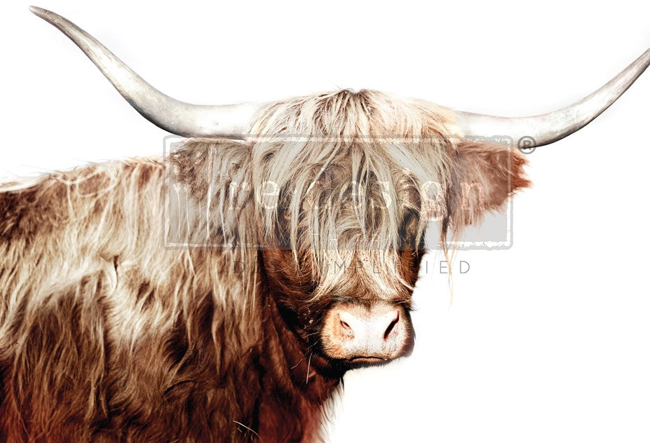 ReDesign with Prima's Majestic Moo A1 size Tear Resistant Decoupage Paper featuring torso and head of brown shaggy highland cow on white background.