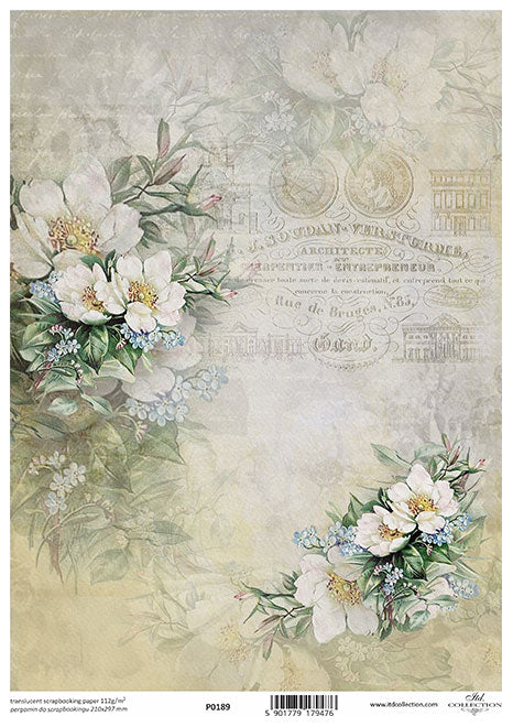 White flowers and script. Beautiful European ITD Collection Vellum Paper is of Exquisite Quality for Decoupage Art