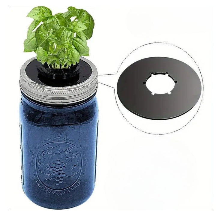 Mason Jar Lid Insert