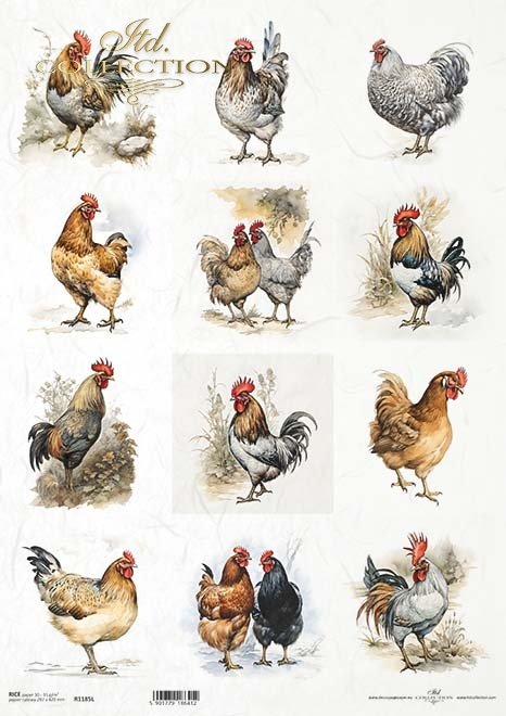 12 images of gray and brown roosters and hens. ITD Collection A3 rice paper for decoupage.