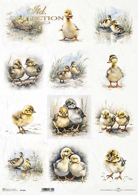 Twelve images of baby ducklings ITD Collection rice paper for decoupage.