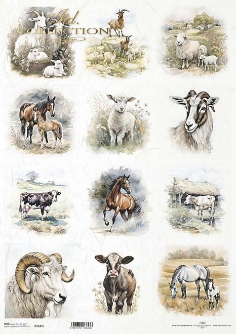 Farm animals, 12 images of horse, goat, cows and sheep ITD Collection rice paper for decoupage.