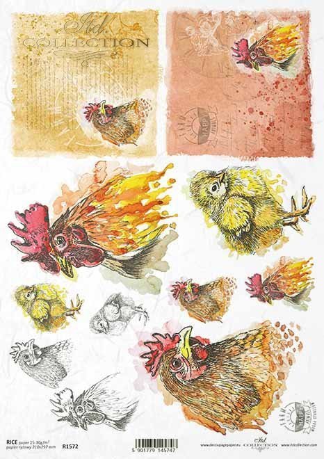 Orange and yellow rooster multiple scenes. Colorful European Rice paper used for Decoupage Art, Decoupage Crafts and Home Decor. 