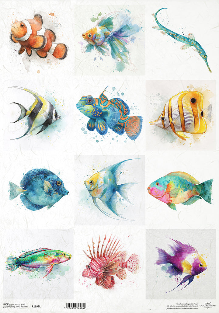 Coastal Rice Paper