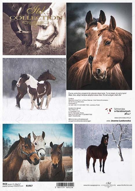 5 realistic photo scenes of horses. Colorful European Rice paper used for Decoupage Art, Decoupage Crafts and Home Decor. 