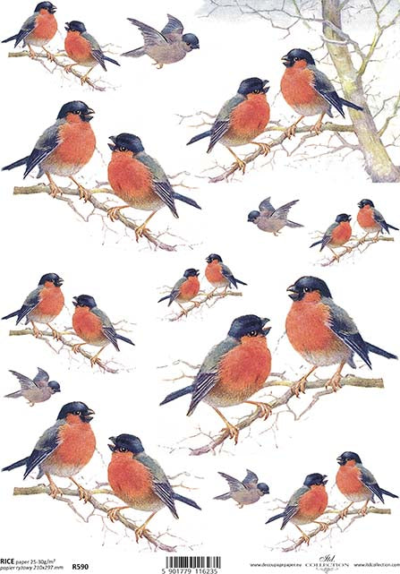 Red breasted Robin birds on branches. Beautiful European ITD Collection Decoupage Paper is of Exquisite Quality for Decoupage Art