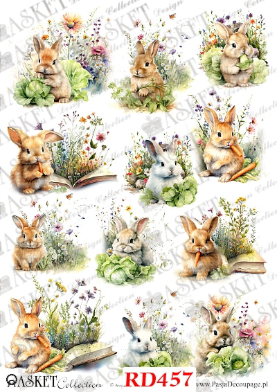 Brown and white bunnies with wildflowers and books and cabbage and carrots by Asket collection