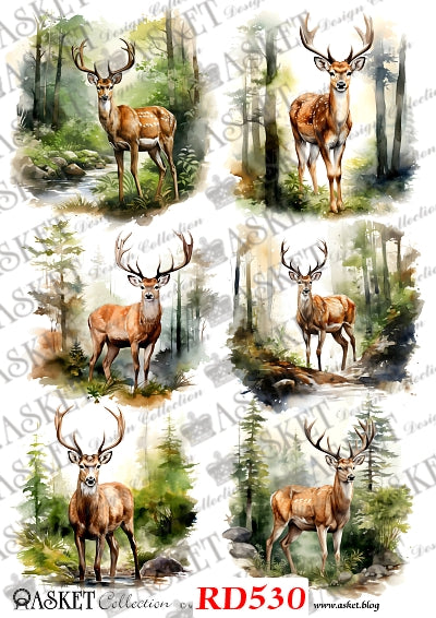 6 images of stag in the woods by a stream  by Asket collection