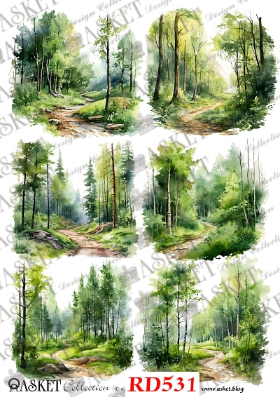 6 images of dirt path through green forest by Asket collection