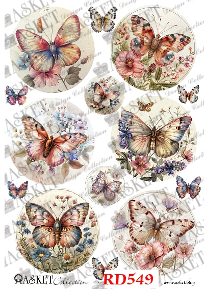 Circles with multicolor butterflies and pink and blue flowers by Asket collection