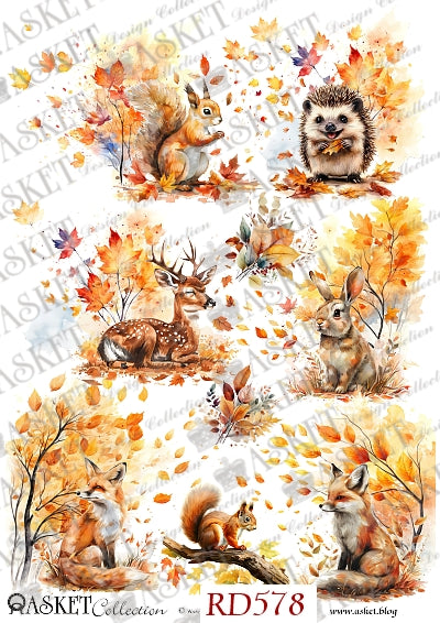 Orange red and yellow leaves surrounding squirrel hedgehog deer rabbit and foxes by Asket collection