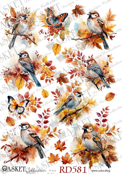 Brown white and black sparrows perched on branches with red and orange fall leaves with butterflies by Asket collection