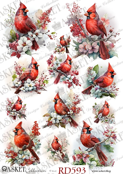 Red Cardinal birds perched on branches with white and pink flowers by Asket collection