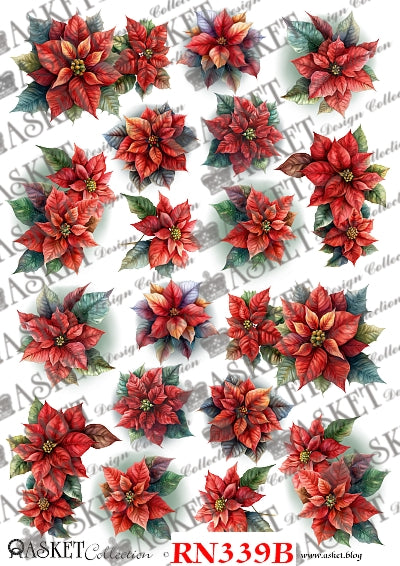 Red poinsettia flowers with green leaves by Asket collection 