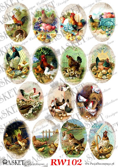 Colorful multi-scenes of roosters chickens and chicks by Asket collection