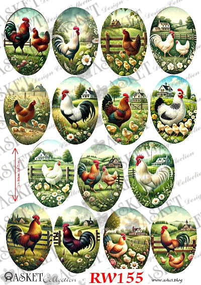 Red White and Black roosters hens and chicks in field with flowers by Asket collection