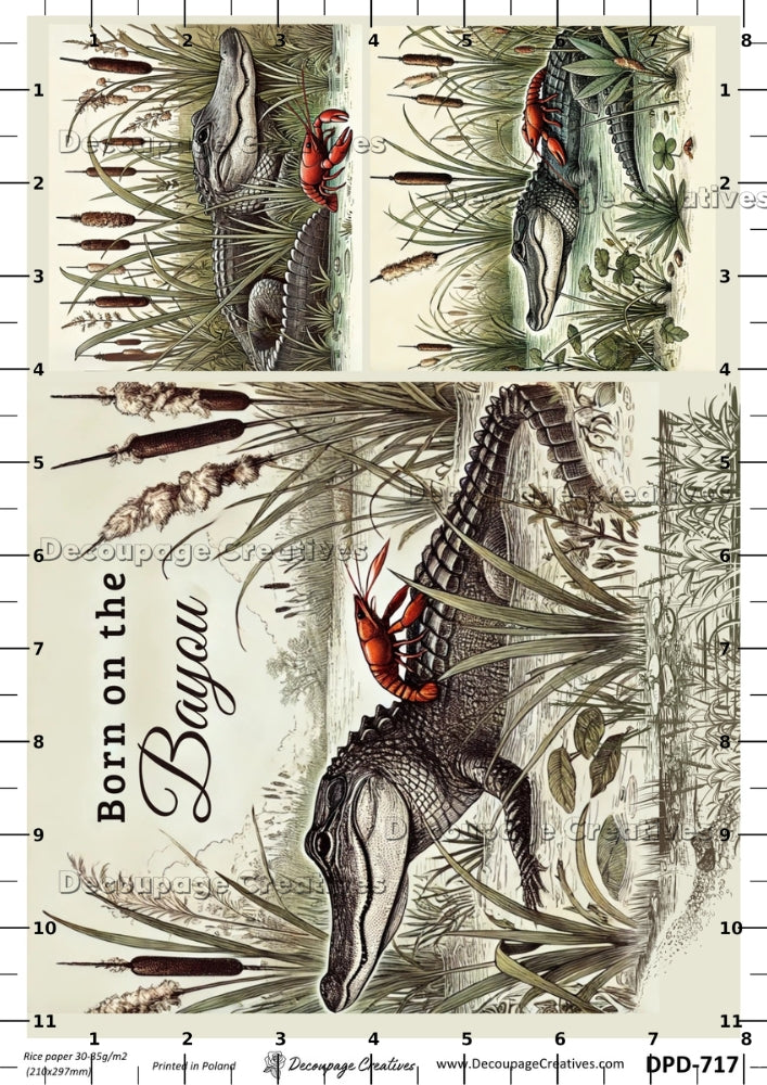 Decorative paper with illustrations of alligators and text 'Born on the Bayou' on a beige background.
