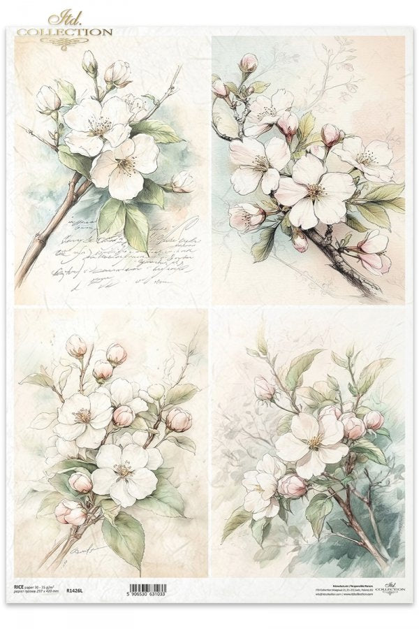 Four scenes of branches of white dogwood flowers and green leaves on script background. ITD Collection Rice Paper