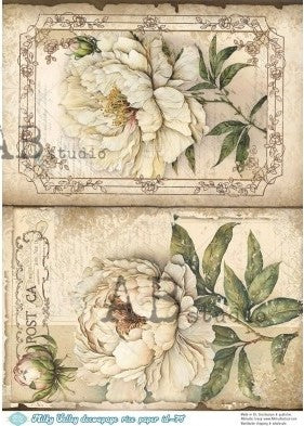 white blossoms on vintage posta card AB Studio Rice Papers