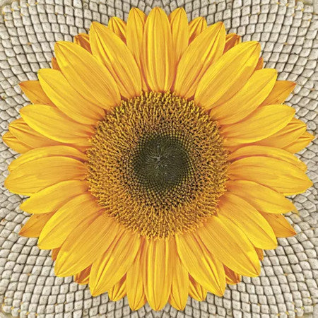 These yellow Sunflower on Seeds Decoupage Paper Napkins are exceptional quality. Imported from Europe. 3-ply. Ideal for Decoupage Crafting, DIY projects, Scrapbooking