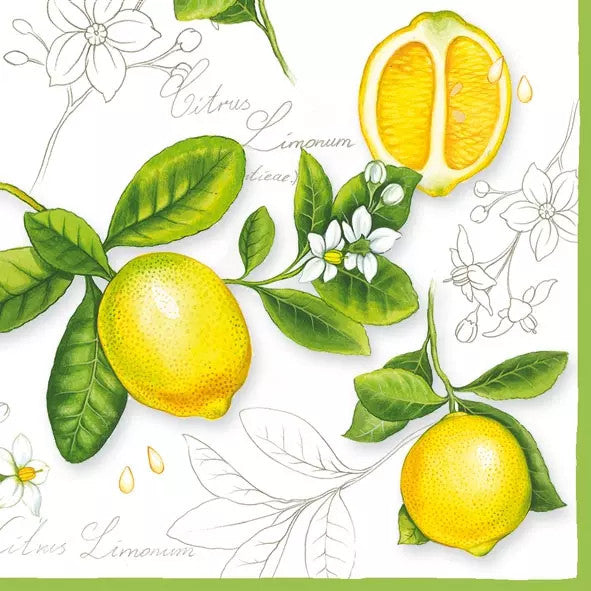 These bright yellow and green Lemon Decoupage Paper Napkins are exceptional quality. Imported from Europe. 3-ply. Ideal for Decoupage Crafting, DIY projects, Scrapbooking, Mixed Media