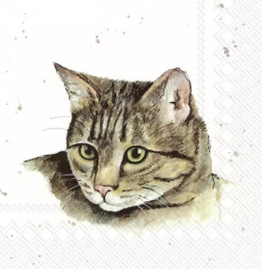 These Farmfriends Cat Decoupage Paper Napkins are exceptional quality. Imported from Europe. 3-ply. Ideal for Decoupage Crafting, DIY craft projects