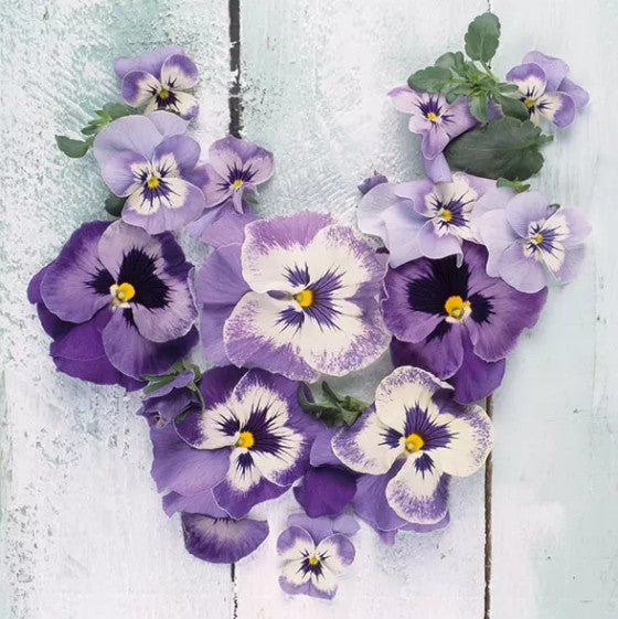 These purple and white Floral Pansies Decoupage Paper Napkins are Imported from Europe. Ideal for Decoupage Crafting, DIY craft projects, Scrapbooking7