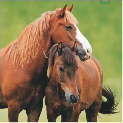 Shop Two Brown Horses in Meadow Napkin for Crafting, Scrapbooking, Journaling, Cardmaking