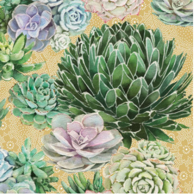 Shop Succulents Decoupage Paper Napkin for Crafting, Scrapbooking, Journaling
