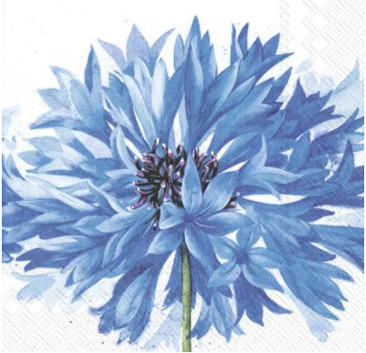Shop Blue Flower Decoupage Paper Napkin for Crafting, Scrapbooking, Journaling