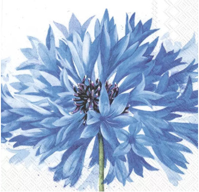 S074# 3x Single SMALL Paper Napkins For Decoupage Craft Blue Flowers White  Daisy