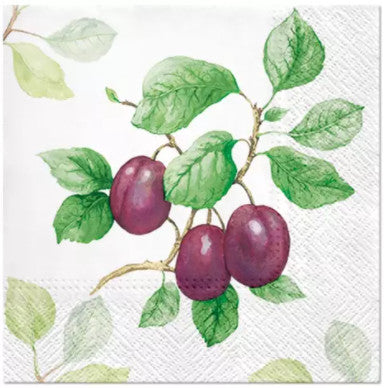 Shop Plums on Branch Decoupage Paper Napkin for Crafting, Scrapbooking, Journaling