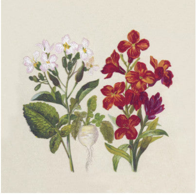 Shop Botanical Flowers Decoupage Paper Napkin for Crafting, Scrapbooking, Journaling