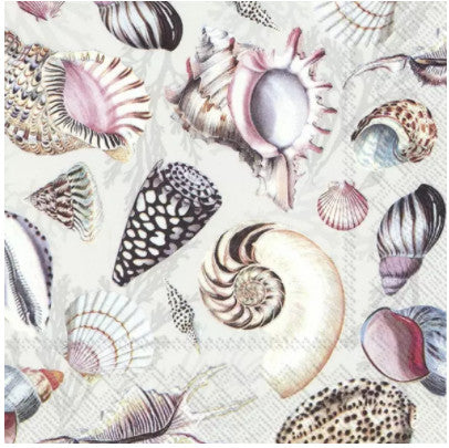 Shop colorful sea shells by the beach summer Decoupage Paper Napkin for Crafting, Scrapbooking, Journaling