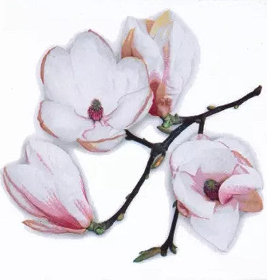 Shop White Magnolia Branch Decoupage Paper Napkin for Crafting, Scrapbooking, Journaling