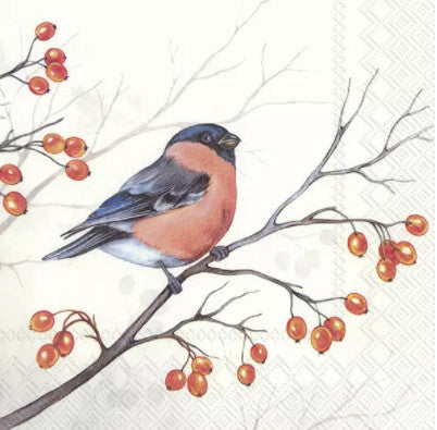 These Daydream Winter Bird Decoupage Paper Napkins are of exceptional quality. Imported from Europe. 3-ply, silky feel. Ideal for Decoupage Crafting, Scrapbooking