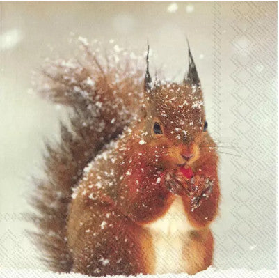 These  winter squirrel Decoupage Paper Napkins are of exceptional quality. Imported from Europe. 3-ply, silky feel. Ideal for Decoupage Crafting, Scrapbooking