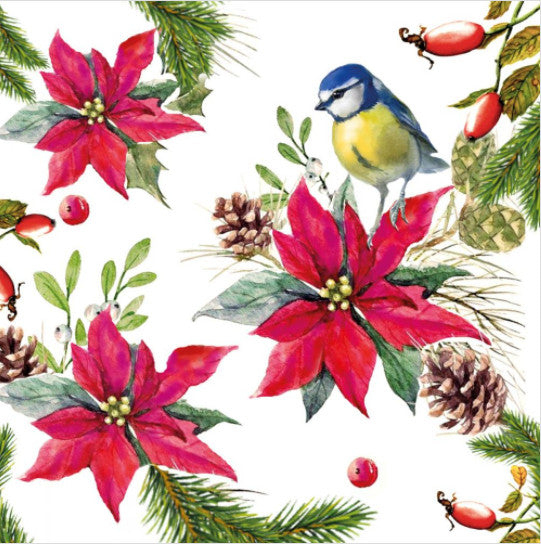 These Christmas Bird on Poinsettia Decoupage Paper Napkins are exceptional quality. Imported from Europe. 3-ply. Ideal for Decoupage Crafting, DIY craft projects, Scrapbooking