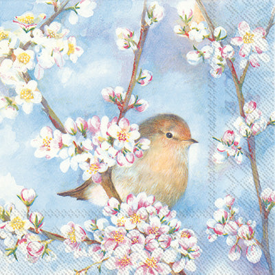 These Bird Harmony White Floral Decoupage Paper Napkins are Imported from Europe. Ideal for Decoupage Crafting, DIY craft projects, Scrapbooking