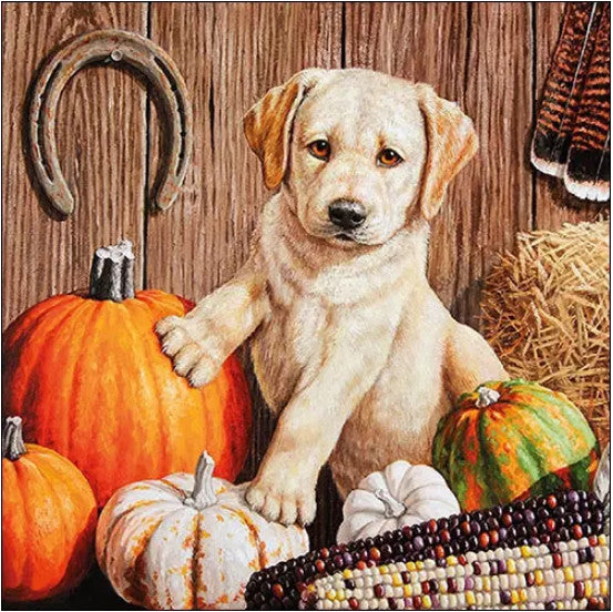 These Boris Labrador Dog with pumpkins  Fall Decoupage Paper Napkins are exceptional quality. Imported from Europe. Ideal for Decoupage Crafting, DIY craft projects, Scrapbooking