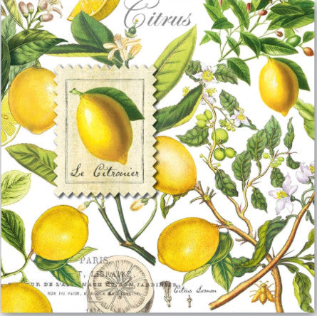 These Lemon Basil Michel Design Works Decoupage Paper Napkins are exceptional quality. Imported from Europe. 3-ply. Ideal for Decoupage Crafting, DIY projects, Scrapbooking