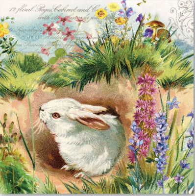 These Bunny Hollow Michel Design Works Decoupage Paper Napkins are exceptional quality. Imported from Europe. 3-ply. Ideal for Decoupage Crafting, DIY projects, Scrapbooking, Mixed Media