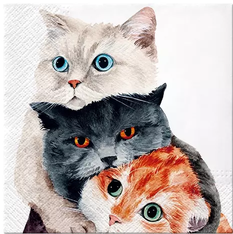 Three Cats Together Decoupage Paper Napkins are Imported from Europe. Ideal for Decoupage Crafting, DIY craft projects, Scrapbooking