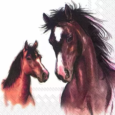 Horse and foal Decoupage Paper Napkins are Imported from Europe. Ideal for Decoupage Crafting, DIY craft projects, Scrapbooking