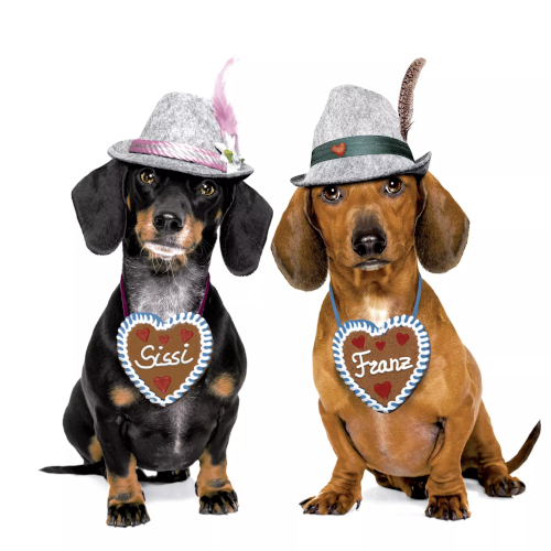 2 German Dogs in hats Decoupage Paper Napkins are Imported from Europe. Ideal for Decoupage Crafting, DIY craft projects, Scrapbooking