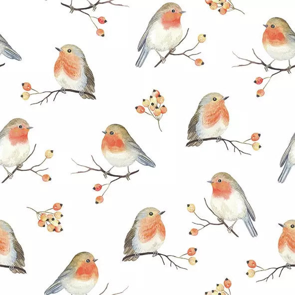 These Robin Family Birds Decoupage Paper Napkins are of exceptional quality. 3 ply. Imported from Europe. Ideal for Decoupage Crafting, DIY craft projects, Scrapbooking