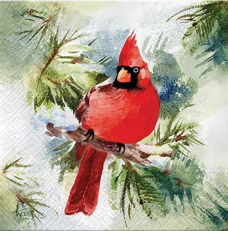 These Winter Cardinal Decoupage Paper Napkins are of exceptional quality. 3 ply. Imported from Europe. Ideal for Decoupage Crafting, DIY craft projects, Scrapbooking