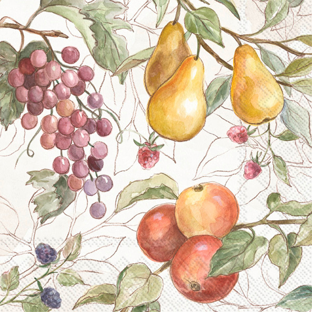 These Fall autumn Country Fruits European Decoupage Paper Napkins are of exceptional quality. 3 ply. Apples, pears, grapes design. Ideal Decoupage Paper for Scrapbooking