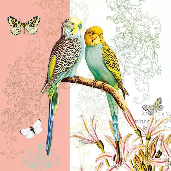 These coral bird Budgies European Decoupage Paper Napkins are of exceptional quality. 3 ply. Ideal Decoupage Paper for Scrapbooking, Mixed Media Art,