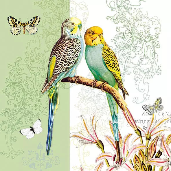 These green bird Budgies European Decoupage Paper Napkins are of exceptional quality. 3 ply. Ideal Decoupage Paper for Scrapbooking, Mixed Media Art